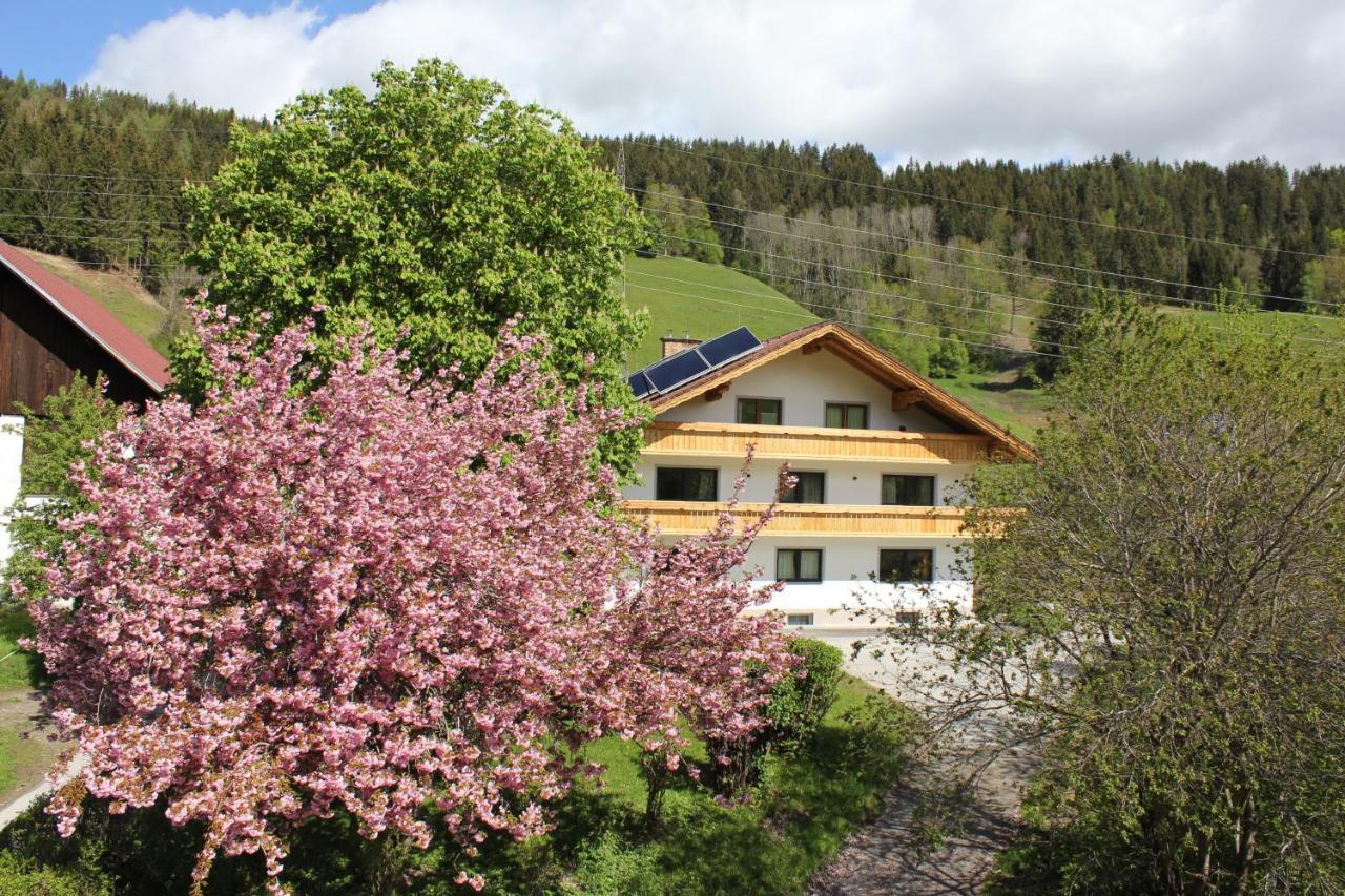 Eiblhof Lägenhet Schladming Exteriör bild