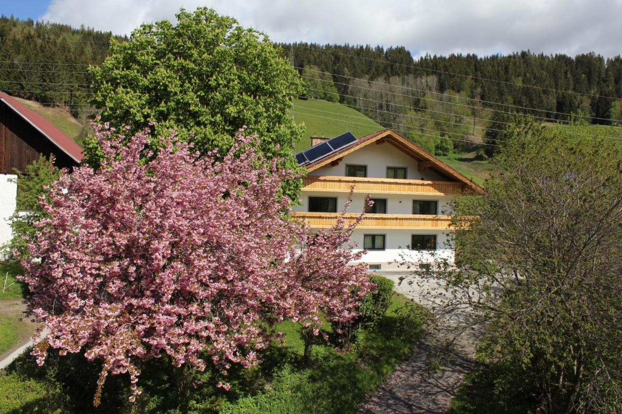 Eiblhof Lägenhet Schladming Exteriör bild